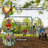 Climb & Slide Playset