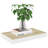 Aleighya Floating Shelf