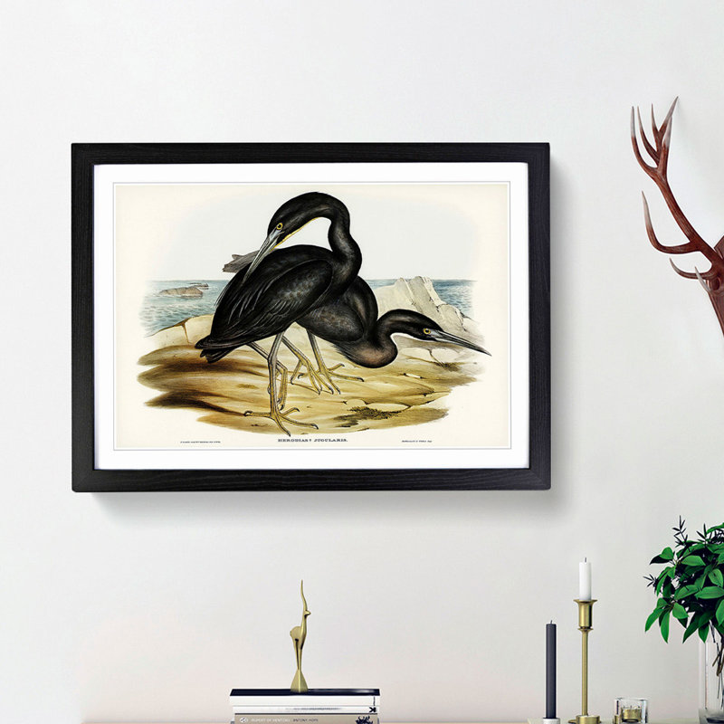 Blue Reef Herons by Elizabeth Gould - Picture Frame Painting Print, Black Framed, 48cm H x 65cm W x 2cm D