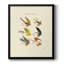 Bass Flies I, toile encadrée de qualité supérieure - prête à être accrochée-1862884898-1862884900