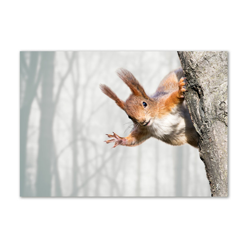 Squirrel - Wrapped Canvas Print