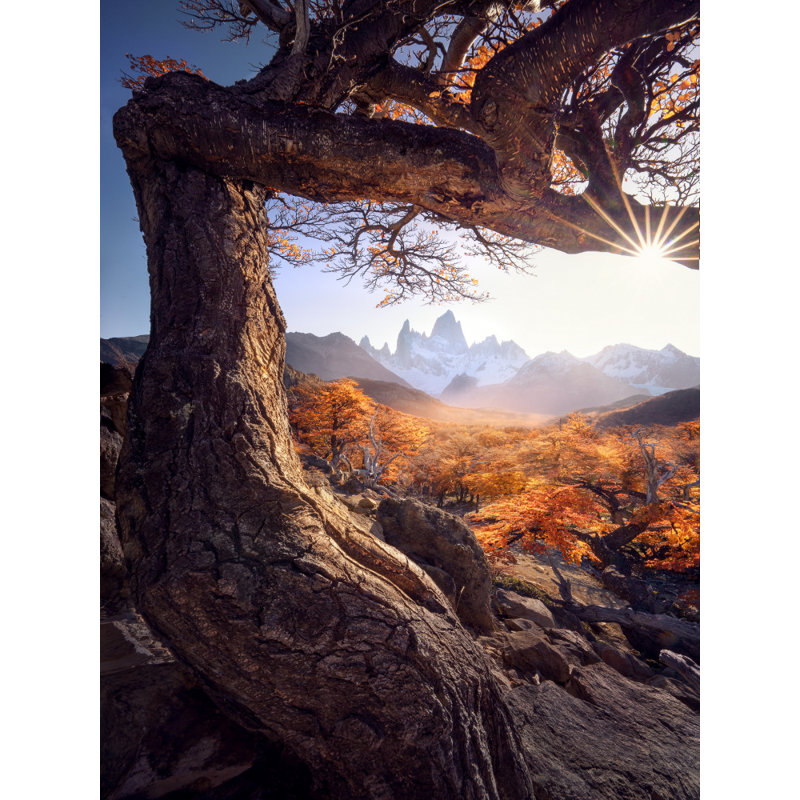 Wrapped Canvas Print, 50.8 cm H x 76.2 cm W