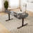 Marquavius Adjustable Height Steel Executive Desk-91289127