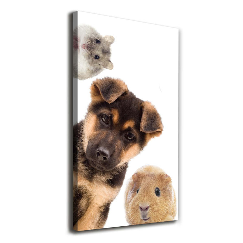 Pets - Wrapped Canvas Print