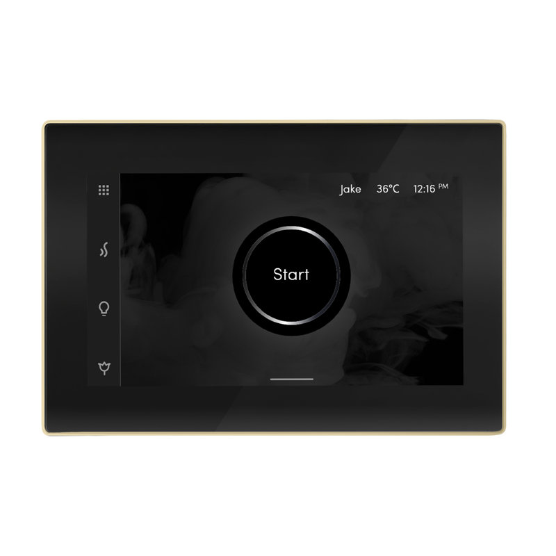 iSteamX Steam Shower Control and Steamhead, Black/Polished Brass