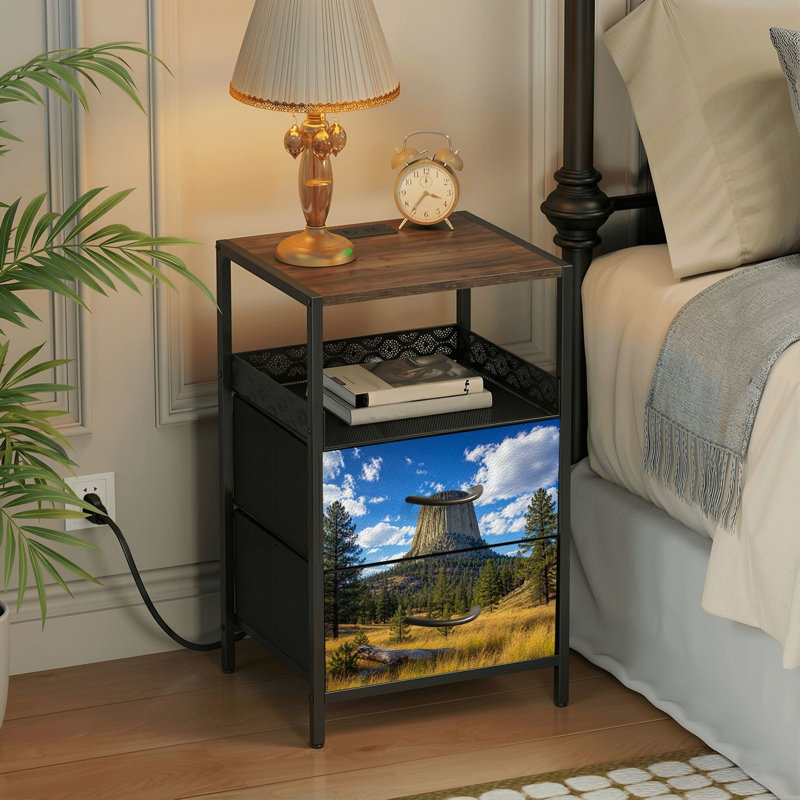 2 Drawers Nightstand with Charging Station, Bedroom Nightstand with USB Ports &amp; Outlets Open Shelf Black, night stand with Tower Golden Prairie Pine Trees under Blue Sky Print