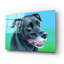 «Black Lab Mix» par Rebecca Wang Art-2067880643