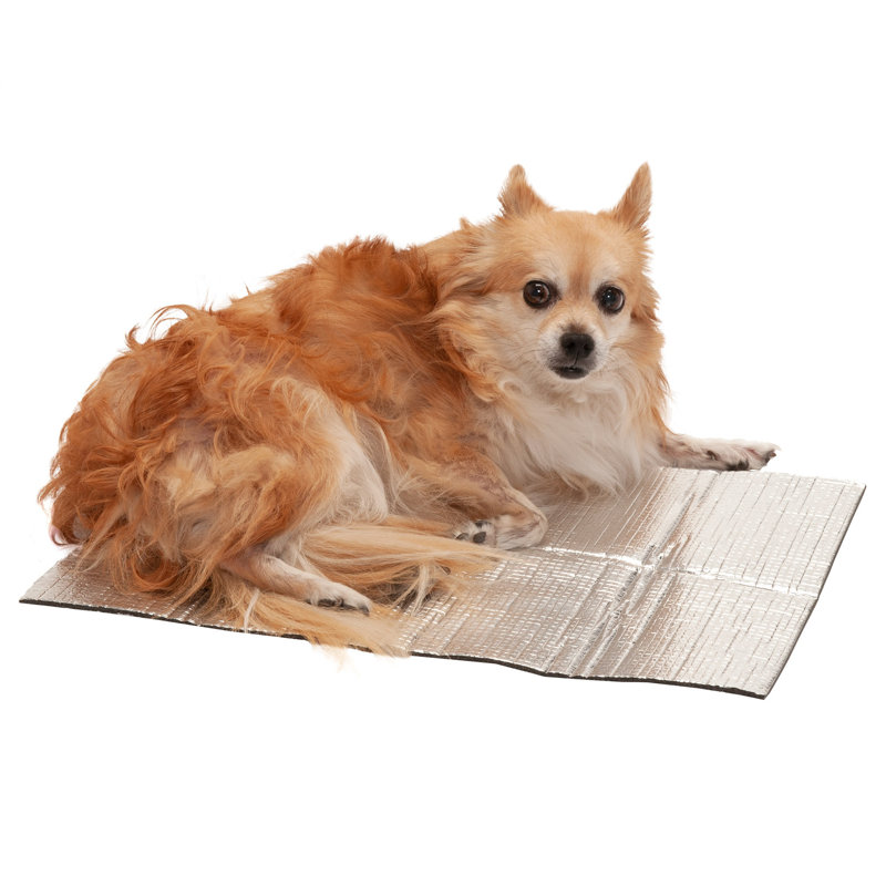 Outdoor Pet Bed Accessory, 18" L x 12" W