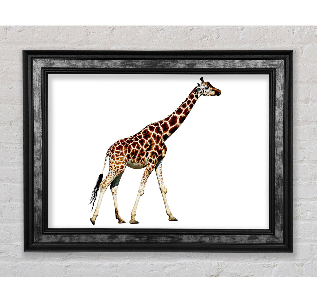 Giraffe Walk - Druck