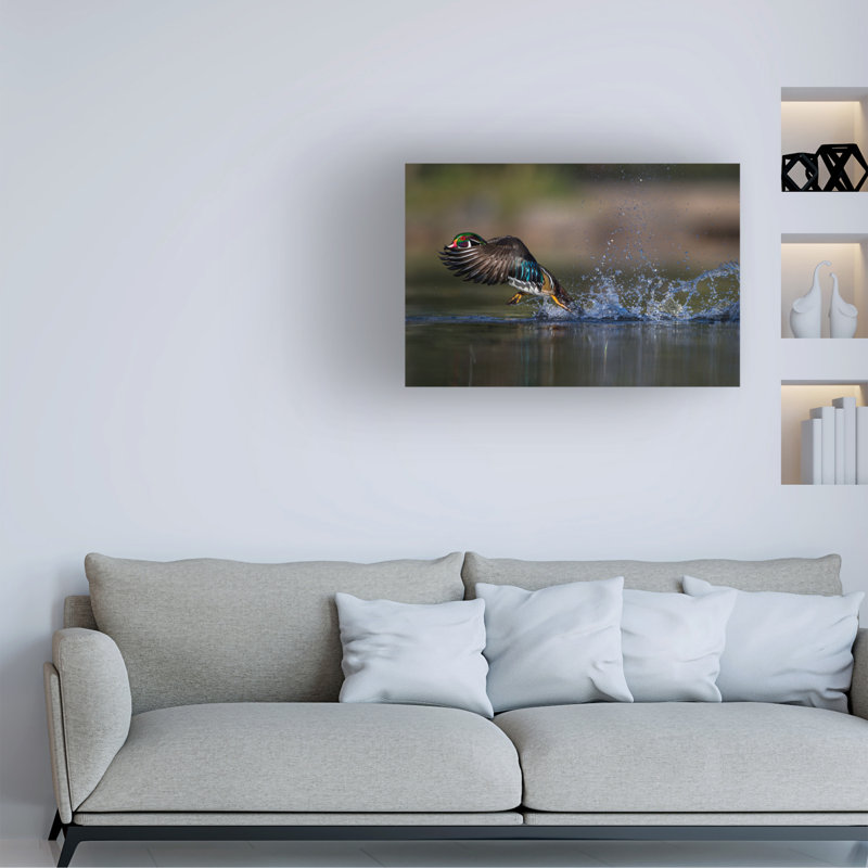Verdon Woodie The Duck Canvas Art, H 12 po x l 19 po