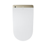 Neorest® Bidet Toilet