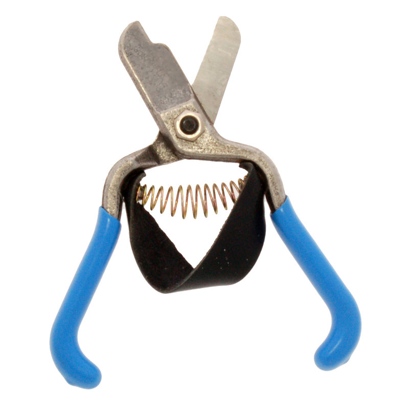 Zenport Shears