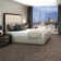 Castilla 24-in x 24-in Multi-Level Loop Adhesive Carpet Tile (80-sq ft)