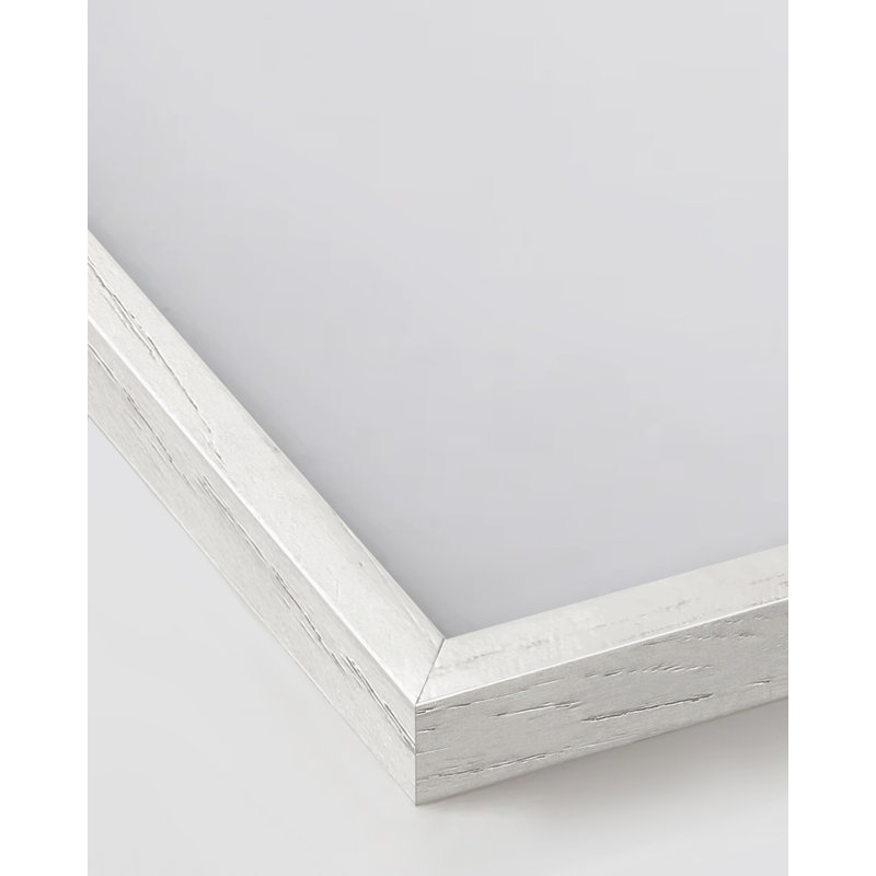White Oak Wood 12" x 12" Picture Frames Set of 4