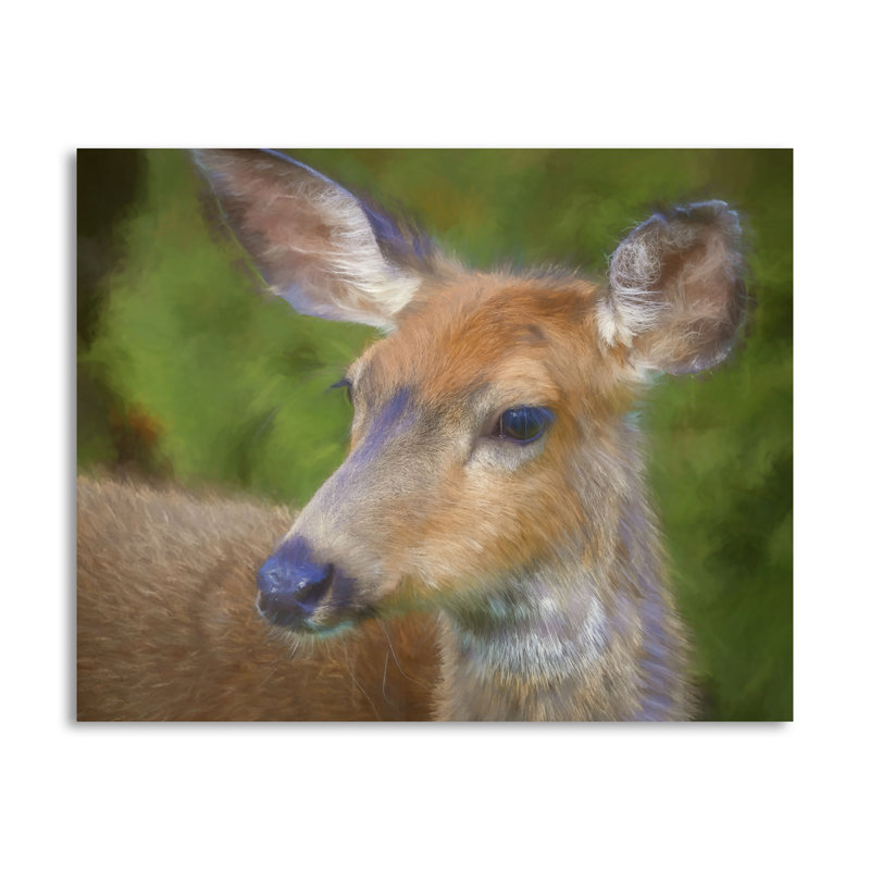 « blacktail cerf ii », reproduction de photo, H 16 po x l 16 po x P 0,01 po, Papier