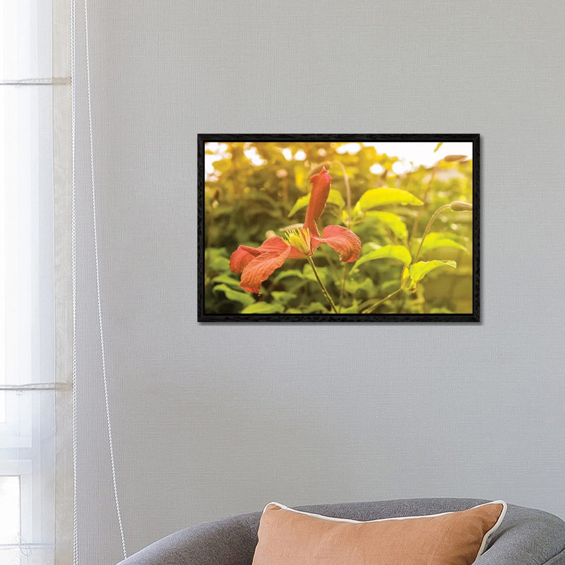 Summertime Clematis by Savanah Plank - Floater Frame Gallery-Wrapped Canvas Giclée on Canvas, Black