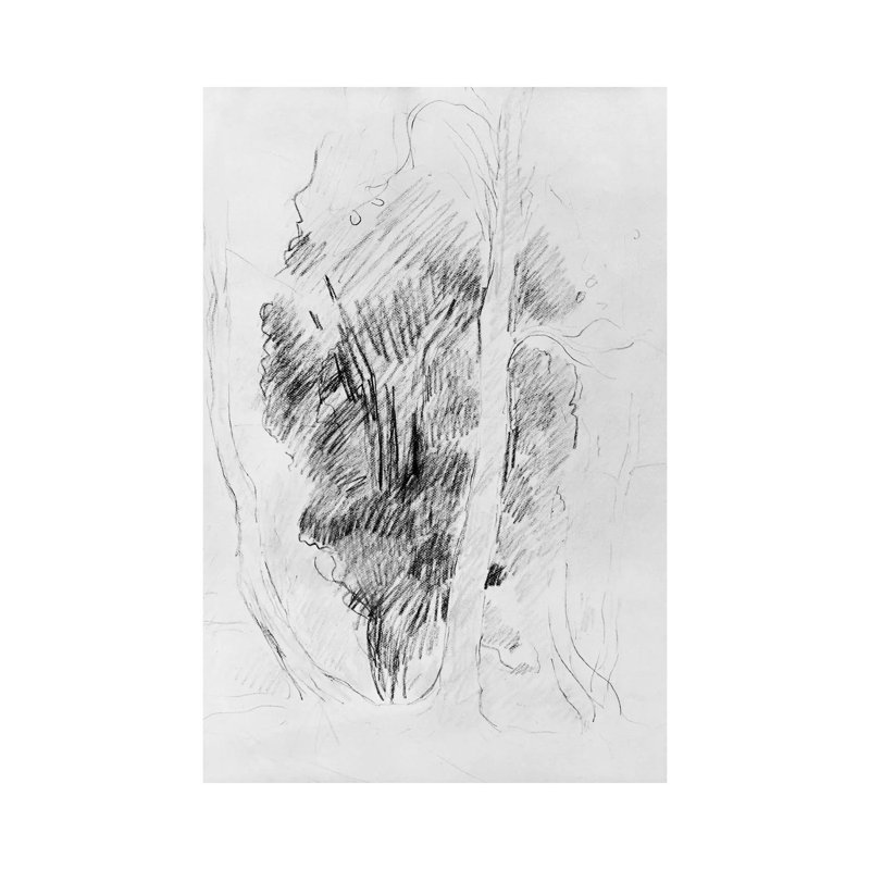 Study Of Trees, 1893 by Berthe Morisot - Wrapped Canvas Print, 30.48cm H x 20.32cm W x 1.91cm D