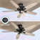 Chyeanne 52'' Ceiling Fan with Light Kit