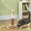 49 cm H Cat Scratchers
