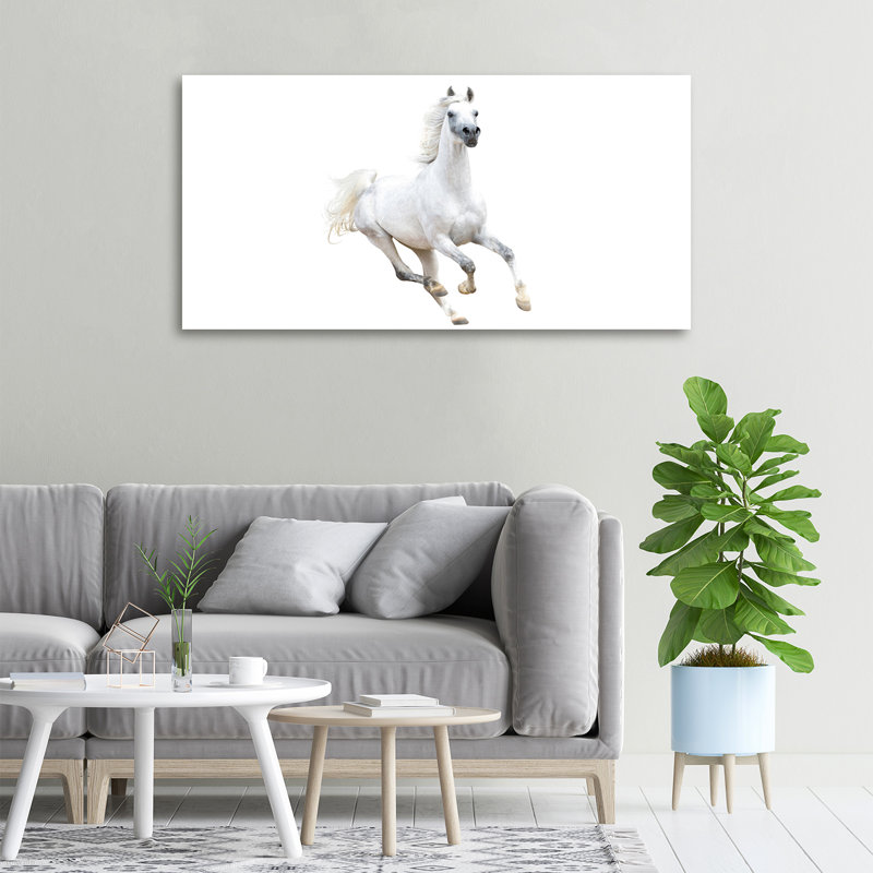 White Arabian Horse 1 Piece Wrapped Canvas Wall Art