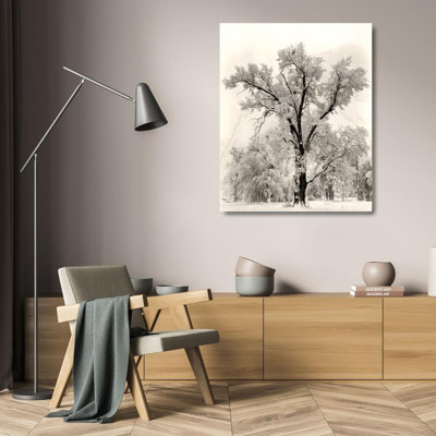 Oak Tree