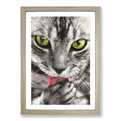 Portrait of a Cat Vol.9 - Picture Frame Painting