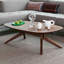 Cross Coffee Table-1405541595