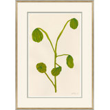 Fruity II 1 Giclee Print by Susan Hable