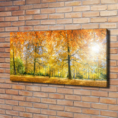 Autumn Forest - Wrapped Canvas Print