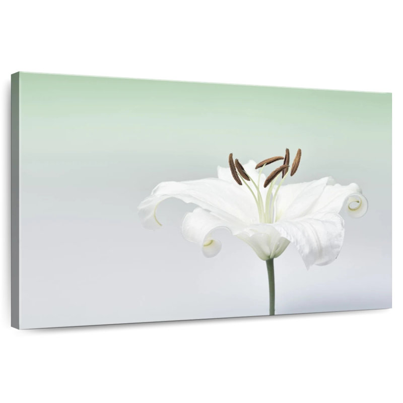 Fleur de lys blanc Harnek, H 20 po x l 30 po