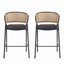 Tabouret de bar d'intérieur revêtu de métal, siège en similicuir avec dossier en rotin Wowen, ensemble de 2