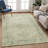 Machine Washable Indoor/Outdoor Earleville ACN2357 Traditional Rug-1484765796