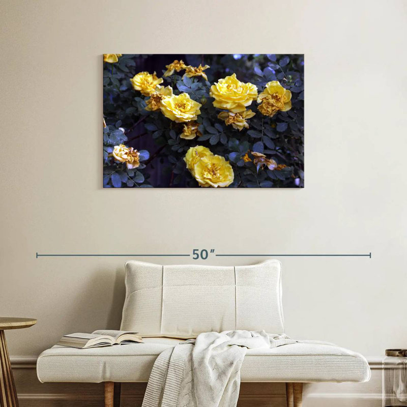 Harnek Yellow Roses Bush