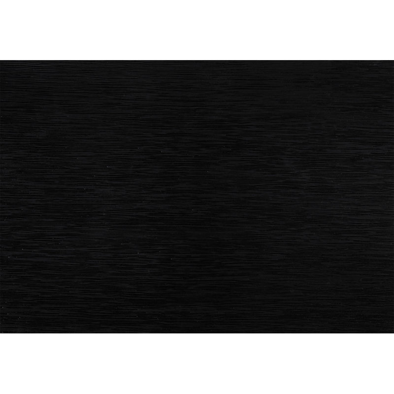 Ensemble de 2 chaises d'appoint contemporaines en bois, Noir
