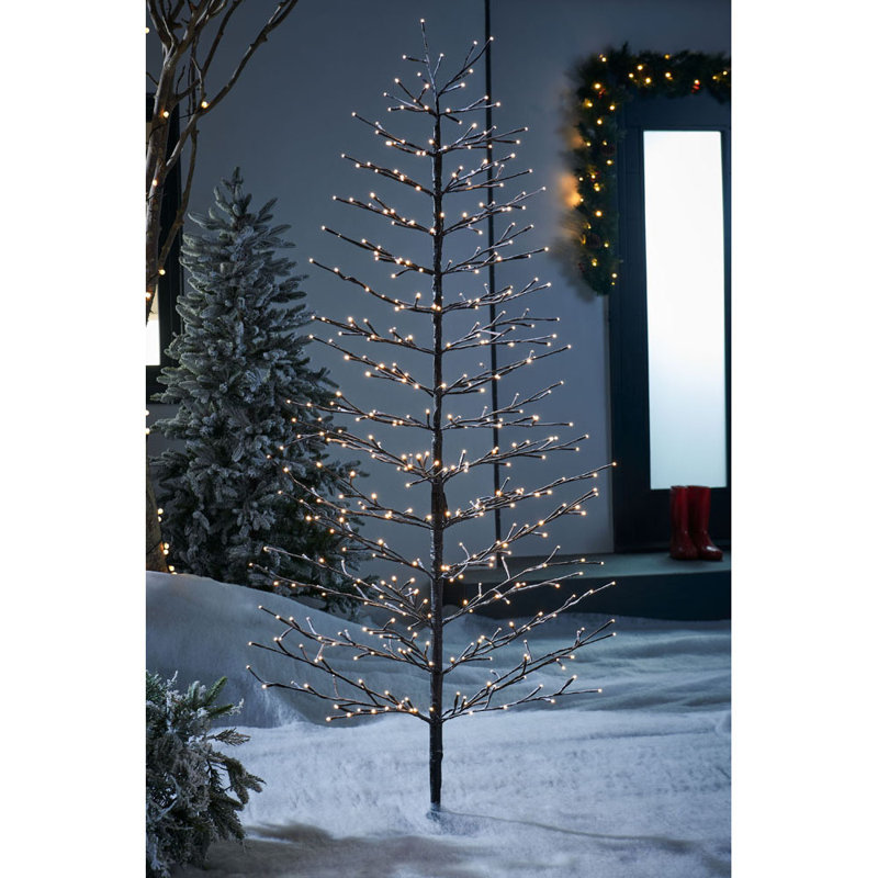 LED Twinkle Indoor / Outdoor Lighted Christmas Tree, 150.11cm H x 80.01cm W x 80.01cm D