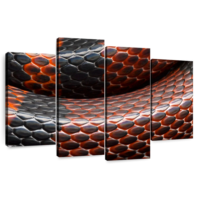 Écailles de serpent, H 27 po x l 43 po