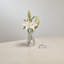 Giftology Ring Holder +