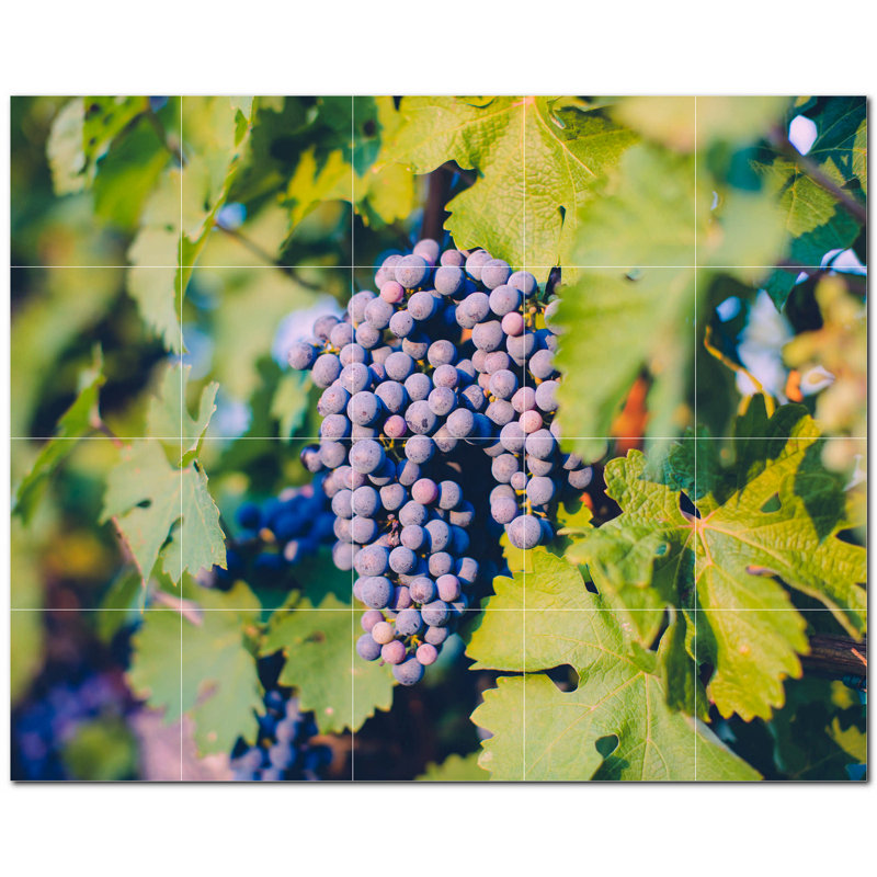 Murale en céramique satinée 6 "x 6" Wine Photo