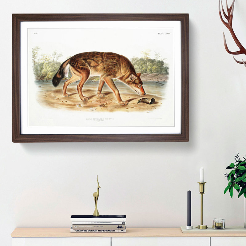 Red Texan Wolf by J.W. Audubon - Picture Frame Painting Print, 48cm H x 65cm W x 2cm D, Walnut Framed