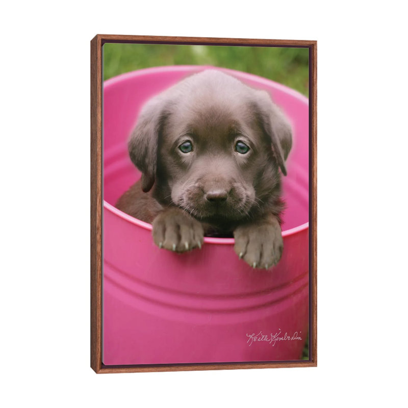 Puddin' Cup by Keith Kimberlin - Print on Canvas, 66.04 cm H x 45.72 cm W, Classic Brown Wood Framed