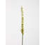 Fabric Yucca Arrangement