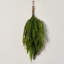 Real Touch Norfolk Pine & Cypress Mixed Winter Greenery Teardrop Swag