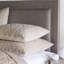 Nova Quilted Velvet Sham-40207251-40207246