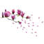 Plants & Flowers Wall Decal