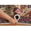Tapis de couloir oriental géométrique 3x8