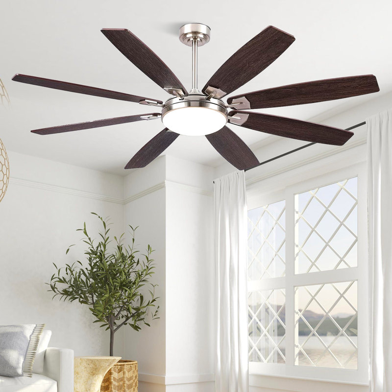 Ventilateurs de plafond 66/72 pouces à 8 pales avec lumières et télécommande, 66"
