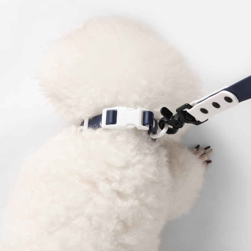 Laisse ajustable mains libres et collier 6-en-1 avec lampe DEL Luna 8 pi, Small, Bleu marine/blanc
