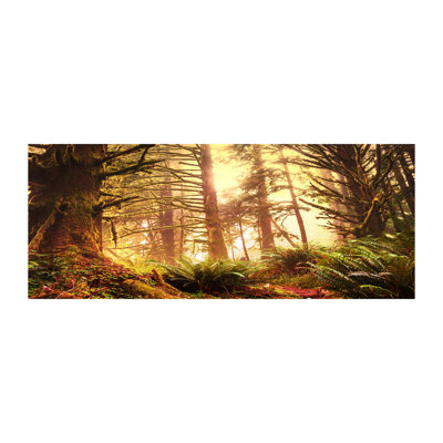 The Rainforest - Wrapped Canvas Print