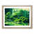 Oak Framed