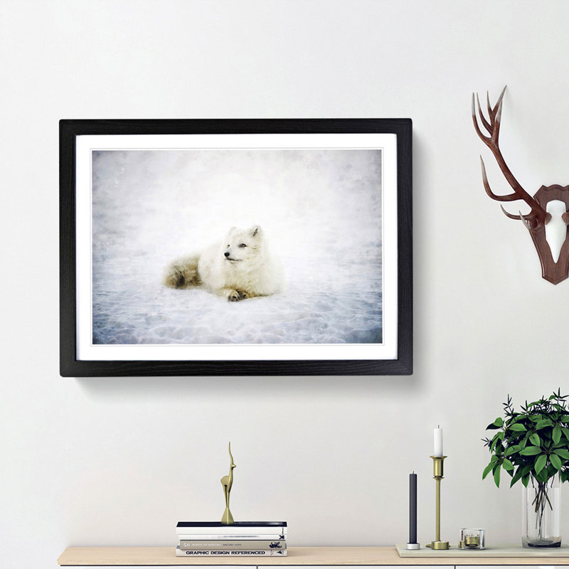 Resting Arctic Fox - Framed Print, 33cm H x 45cm W x 2cm D, Black Framed